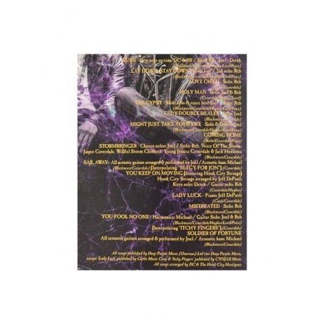 Whitesnake - The Purple Album (coloured) (0603497830329) виниловая пластинка - фото 22