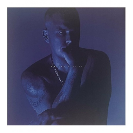 0194399217818, Williams, Robbie, XXV виниловая пластинка - фото 3