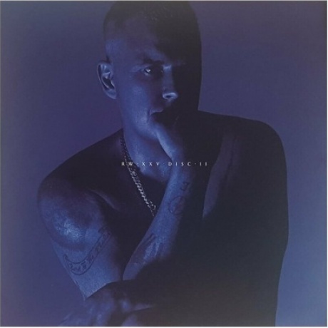 Robbie Williams - XXV (0194399217818) виниловая пластинка - фото 3