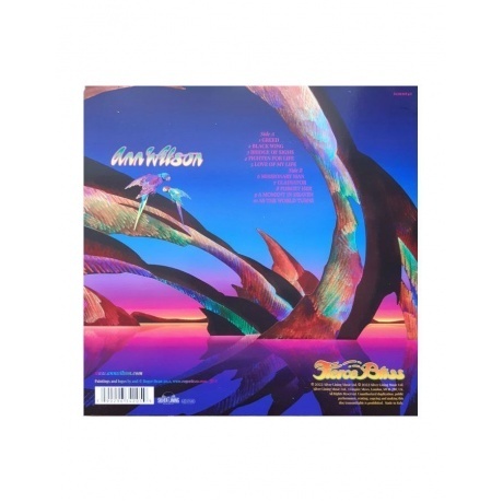 Ann Wilson - Fierce Bliss (0190296342059) виниловая пластинка - фото 2