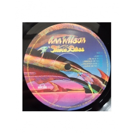 Ann Wilson - Fierce Bliss (0190296342059) виниловая пластинка - фото 3