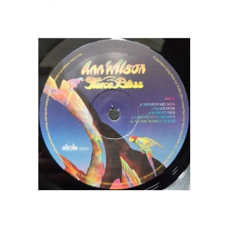 Ann Wilson - Fierce Bliss (0190296342059) виниловая пластинка - фото 4
