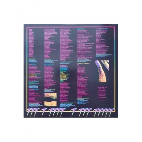 Ann Wilson - Fierce Bliss (0190296342059) виниловая пластинка - фото 6