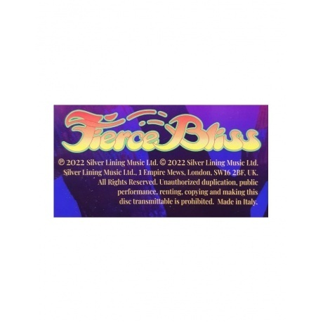 Ann Wilson - Fierce Bliss (0190296342059) виниловая пластинка - фото 7