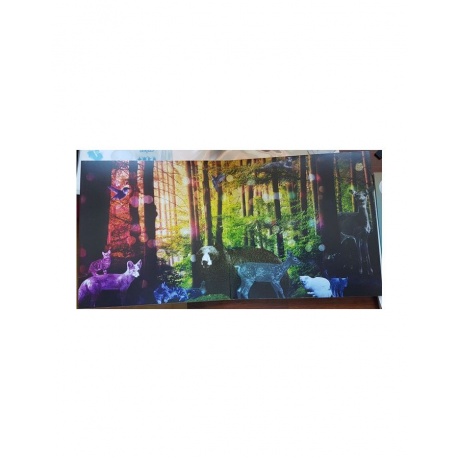 8803581146912, Виниловая пластинка Yamagata, Rachael, Heartache Moon (Analogue) - фото 5