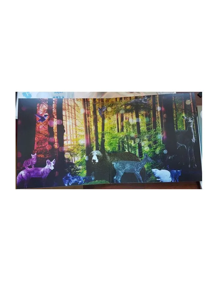 8803581146912, Виниловая пластинка Yamagata, Rachael, Heartache Moon (Analogue) - фото 5