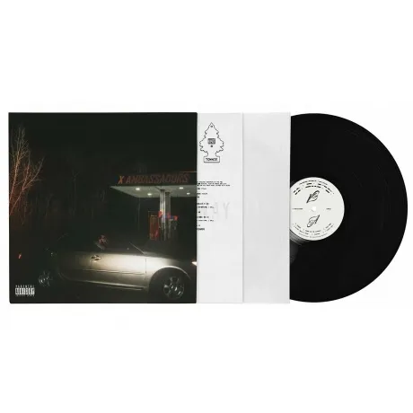 X Ambassadors - Townie (0196922646447) виниловая пластинка