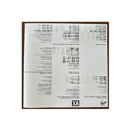 X Ambassadors - Townie (0196922646447) виниловая пластинка - фото 11