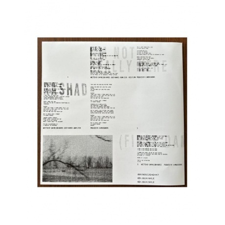 X Ambassadors - Townie (0196922646447) виниловая пластинка - фото 12