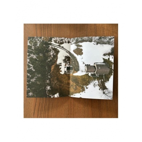 X Ambassadors - Townie (0196922646447) виниловая пластинка - фото 20