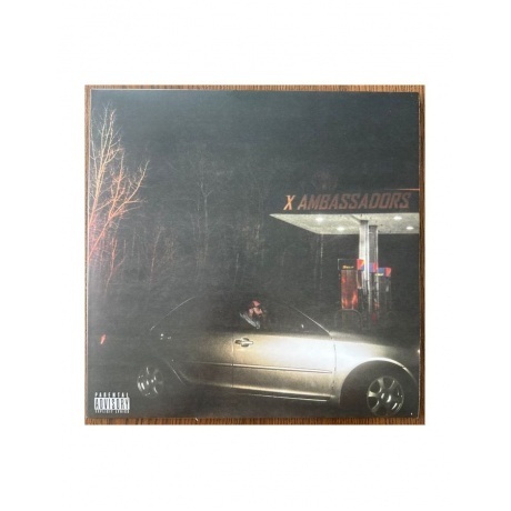 X Ambassadors - Townie (0196922646447) виниловая пластинка - фото 3