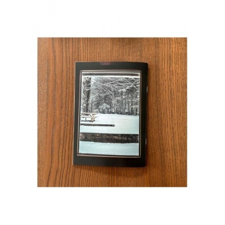 X Ambassadors - Townie (0196922646447) виниловая пластинка - фото 23