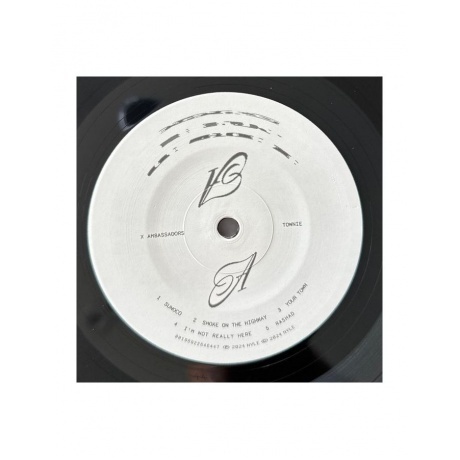 X Ambassadors - Townie (0196922646447) виниловая пластинка - фото 5