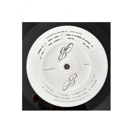 X Ambassadors - Townie (0196922646447) виниловая пластинка - фото 6