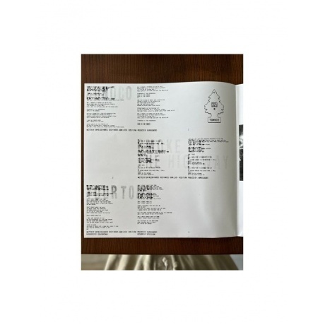 X Ambassadors - Townie (0196922646447) виниловая пластинка - фото 10