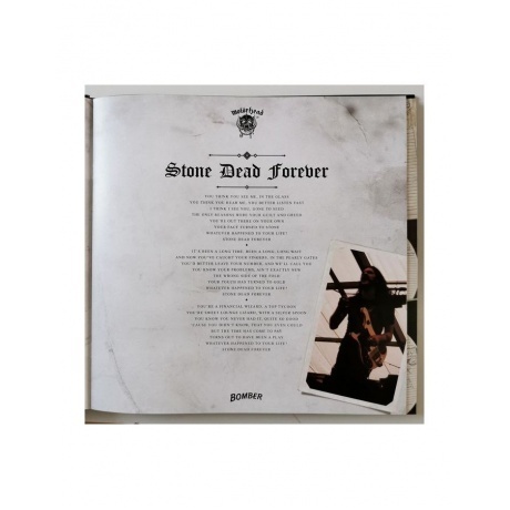 Motorhead - Bomber - deluxe (4050538462418) виниловая пластинка - фото 19