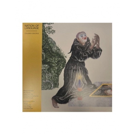 Nation Of Language - Strange Disciple (5400863134358) виниловая ...
