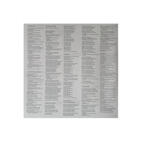 0191400067912, Виниловая пластинка National, The, Laugh Track - фото 2