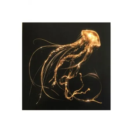 5054197678714, Royal Blood, Back To The Water Below виниловая пл...