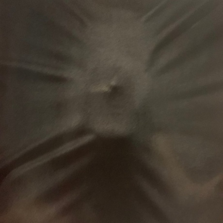 Satyricon - Satyricon &amp; Munch (0840588171279) виниловая пластинка - фото 4