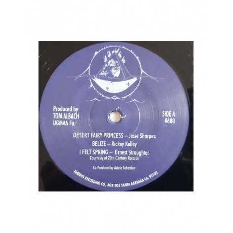 Adele Sebastian - Desert Fairy Princess (Analogue) (5060149622933) виниловая пластинка - фото 3