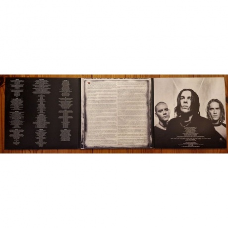 Seether - Disclaimer (0888072452473) виниловая пластинка - фото 4