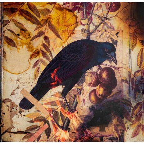 Sepultura - SepulQuarta (0727361591410) виниловая пластинка - фото 4