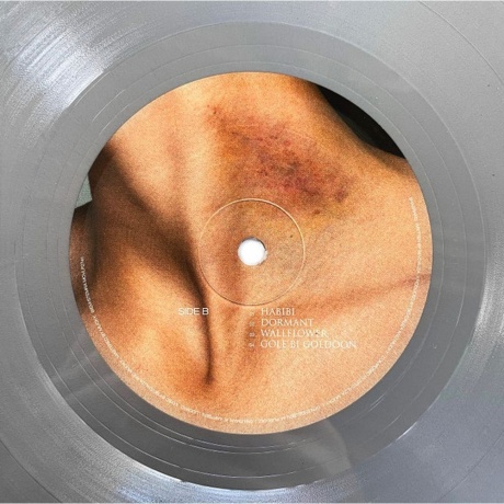 Sevdaliza - Shabrang (coloured) (8719262016903) виниловая пластинка - фото 6