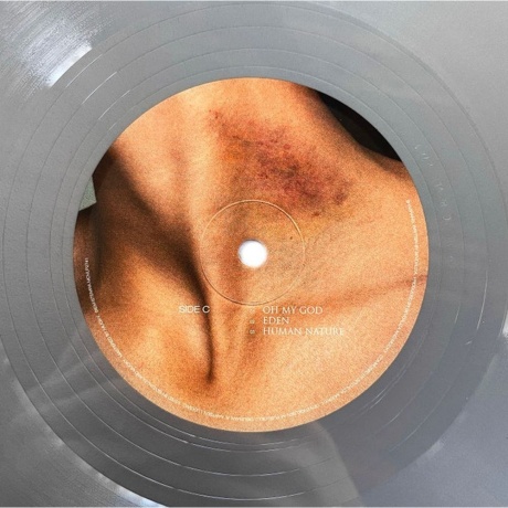 Sevdaliza - Shabrang (coloured) (8719262016903) виниловая пластинка - фото 7