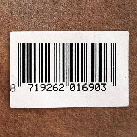 Sevdaliza - Shabrang (coloured) (8719262016903) виниловая пластинка - фото 10