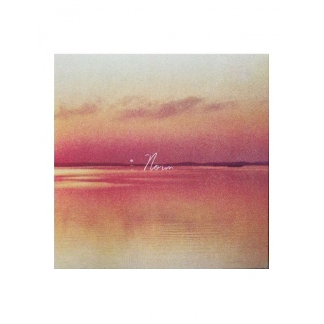 

Andy Shauf - Norm (coloured) (8714092781632) виниловая пластинка