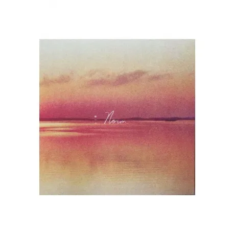 Andy Shauf - Norm (coloured) (8714092781632) виниловая пластинка