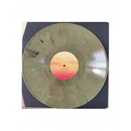 Andy Shauf - Norm (coloured) (8714092781632) виниловая пластинка - фото 3