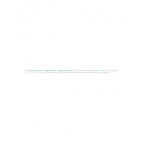 0888750142610, Springsteen, Bruce, The River виниловая пластинка - фото 17