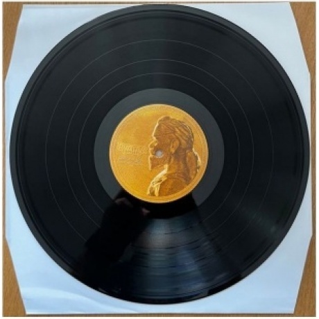 Avatar - Avatar Country (0822603176810) виниловая пластинка - фото 8