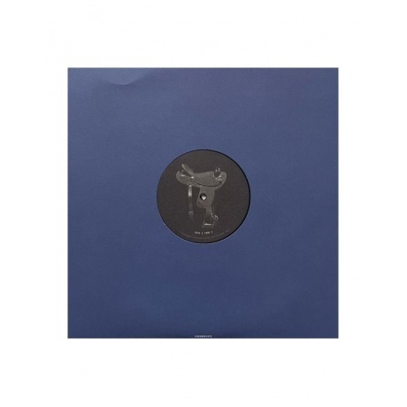 Beyonce - Cowboy Carter (0196588949319) виниловая пластинка - фото 12