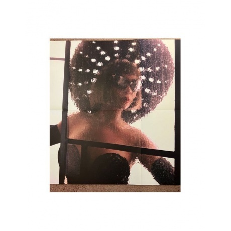 Beyonce - Renaissance (Box) (0196587196714) виниловая пластинка - фото 14