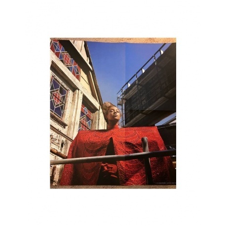 Beyonce - Renaissance (Box) (0196587196714) виниловая пластинка - фото 15