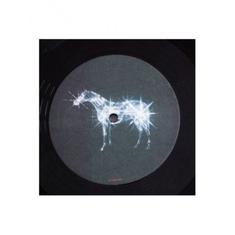 Beyonce - Renaissance (Box) (0196587196714) виниловая пластинка - фото 4