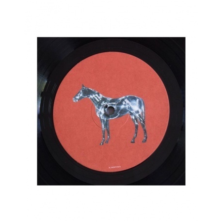 Beyonce - Renaissance (Box) (0196587196714) виниловая пластинка - фото 6