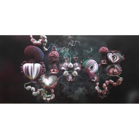 Bjork - Fossora (5016958101374) виниловая пластинка - фото 2