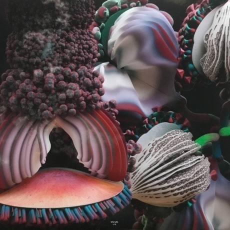 Bjork - Fossora (5016958101374) виниловая пластинка - фото 11