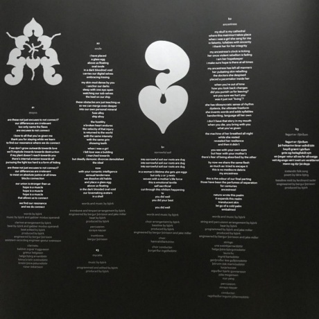 Bjork - Fossora (5016958101374) виниловая пластинка - фото 13