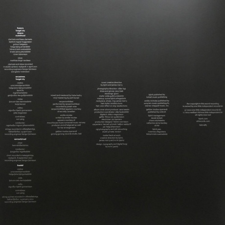 Bjork - Fossora (5016958101374) виниловая пластинка - фото 15