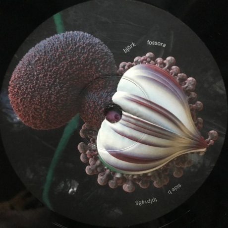 Bjork - Fossora (5016958101374) виниловая пластинка - фото 5