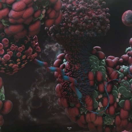 Bjork - Fossora (5016958101374) виниловая пластинка - фото 8