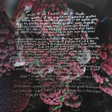 Bjork - Fossora (5016958101374) виниловая пластинка - фото 9