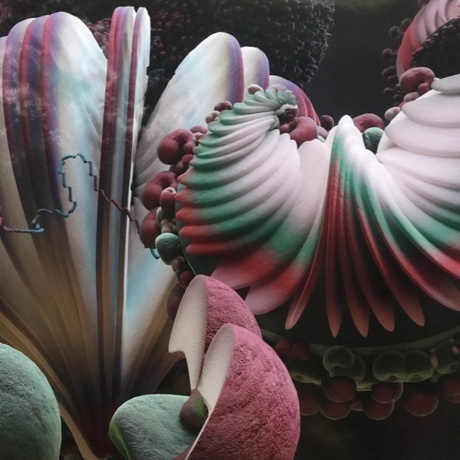 Bjork - Fossora (5016958101374) виниловая пластинка - фото 10