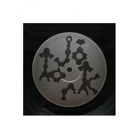 Bjork - Medulla (5016958060916) виниловая пластинка - фото 11