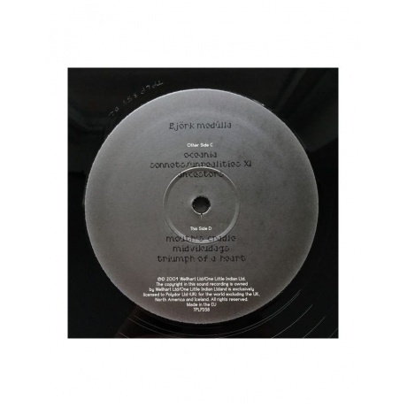 Bjork - Medulla (5016958060916) виниловая пластинка - фото 12